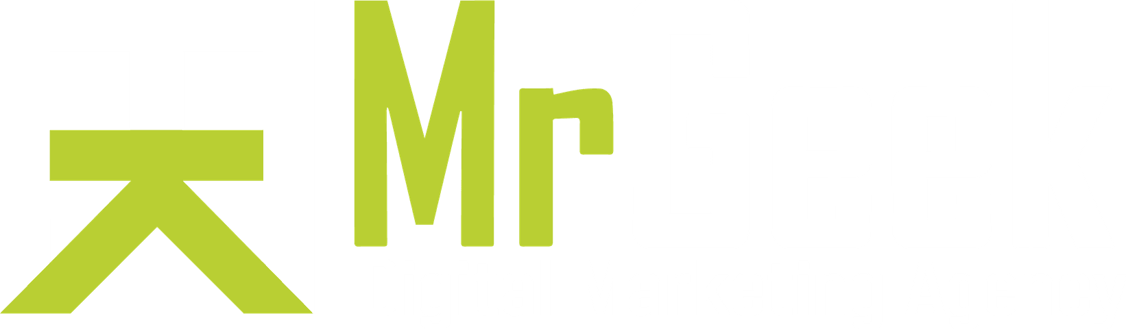 MrGeek — Digital Marketing Agency